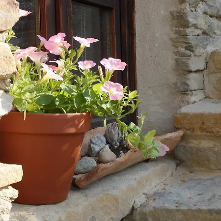 Appartement Casa Giromet *